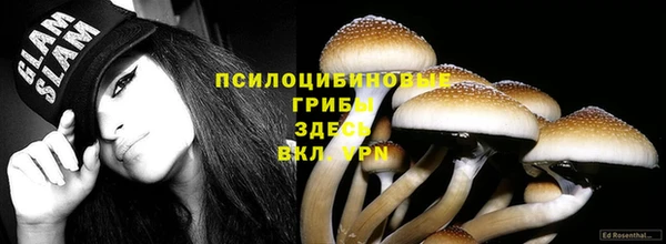трава Бородино