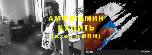 трава Бородино