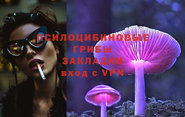 трава Бородино