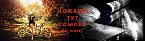 трава Бородино