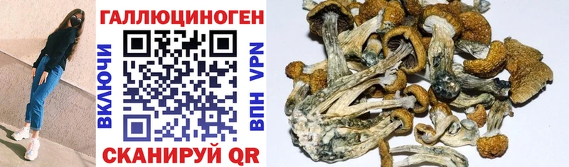 даркнет сайт  Дедовск  Галлюциногенные грибы GOLDEN TEACHER 